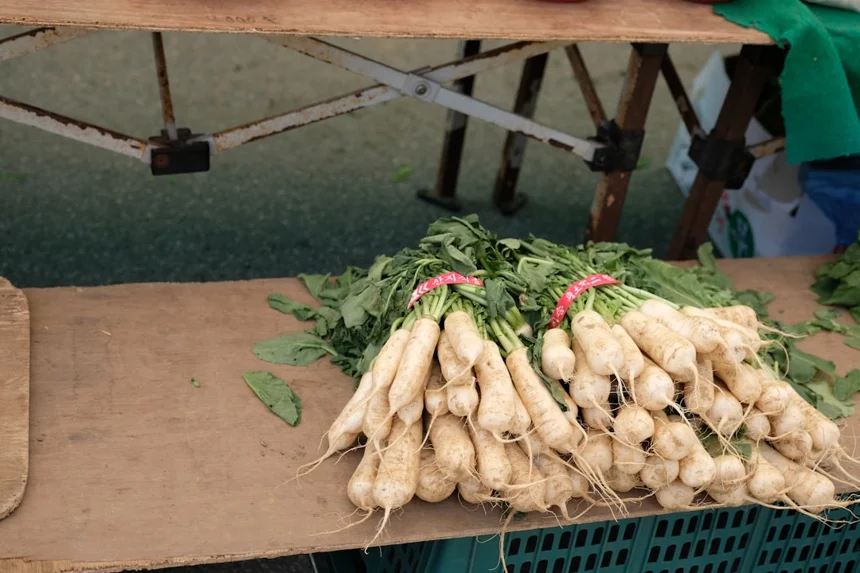 Radish