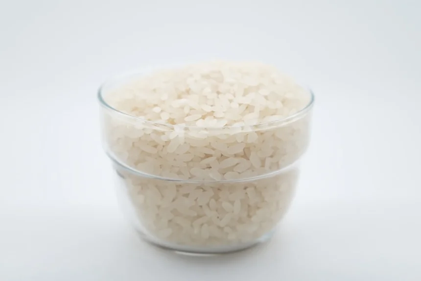 Rice cake
