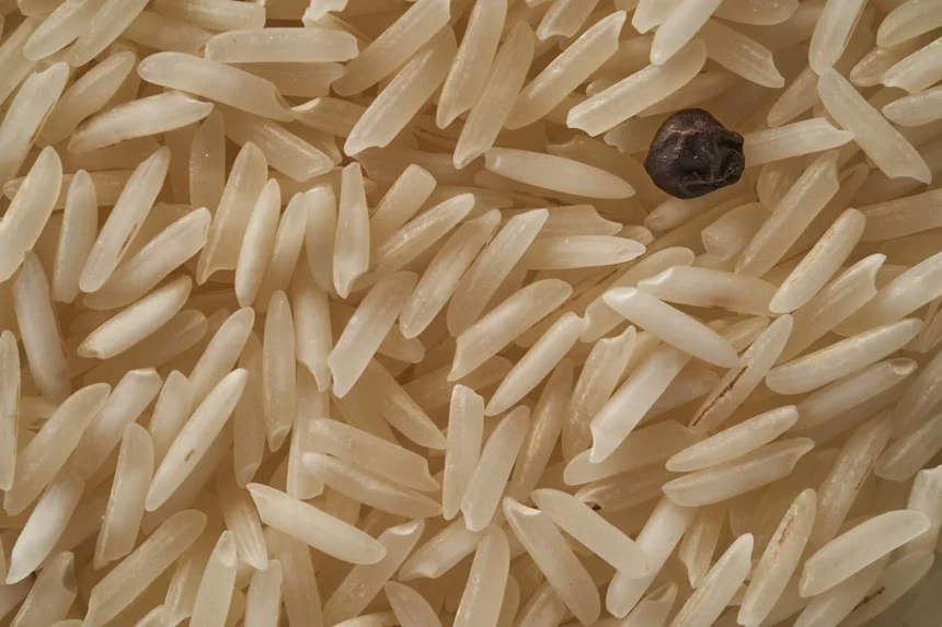 Rice
