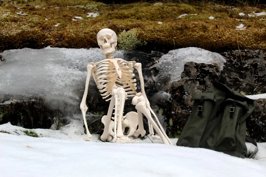 Skeleton