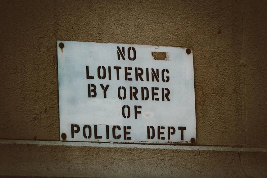 Thief.