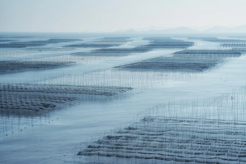Tidal flat