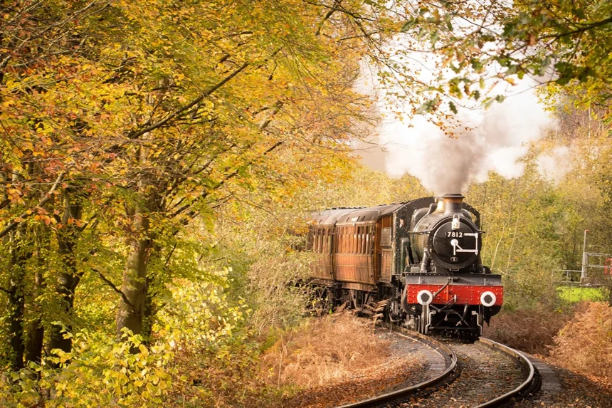 Train