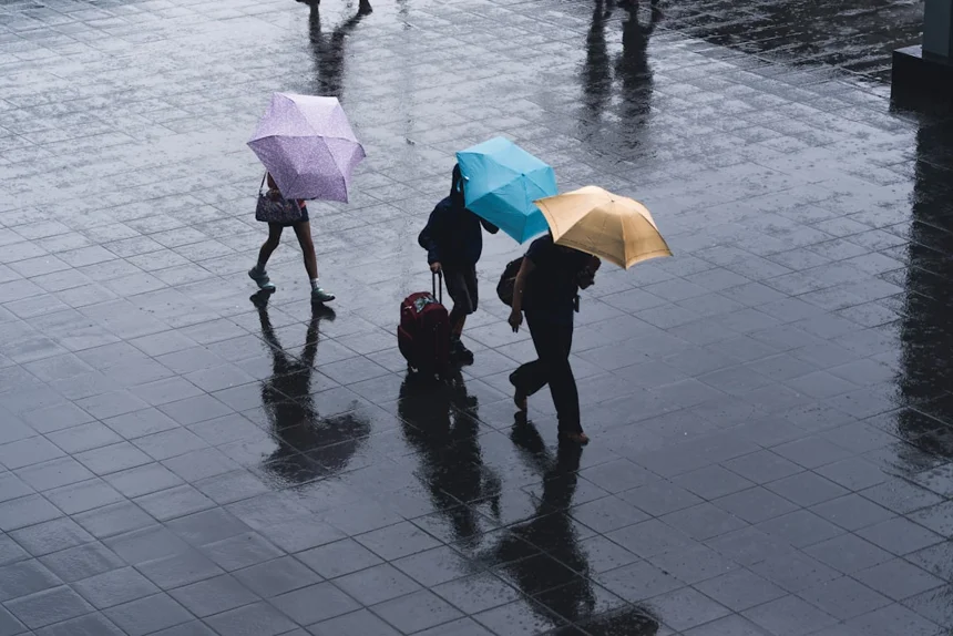 Umbrella