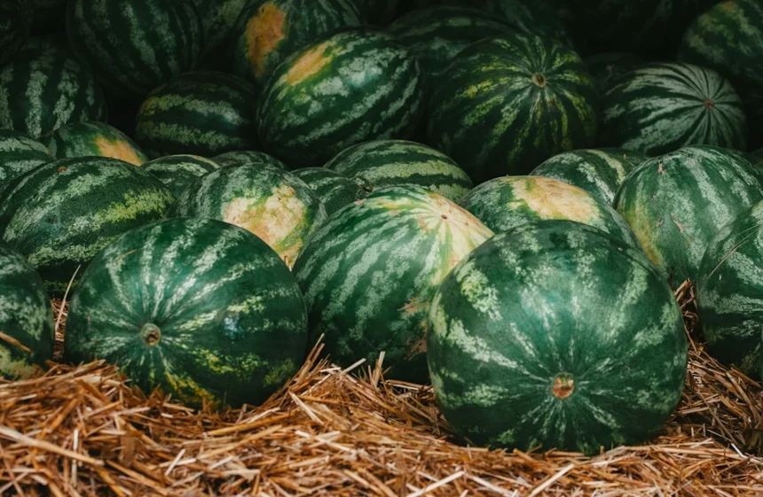 Watermelon