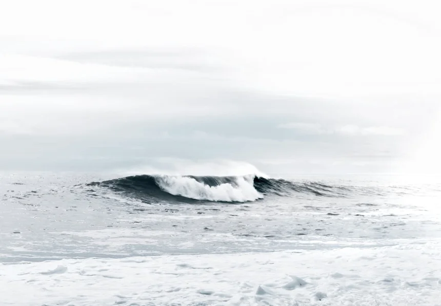 Wave