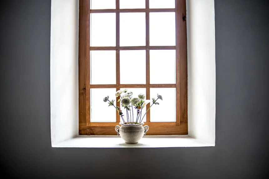 Window
