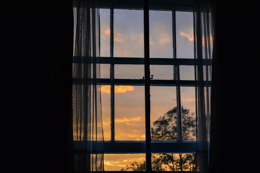 Window