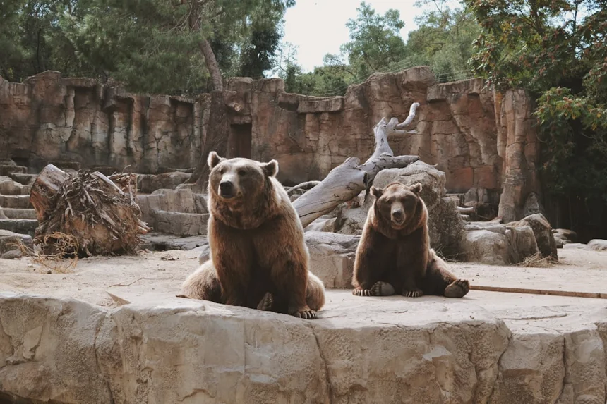 Zoo