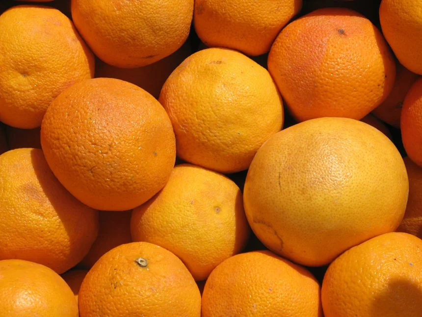 citrus
