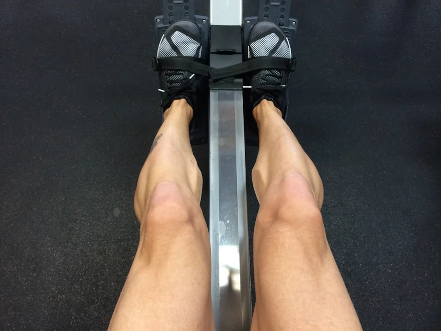 leg
